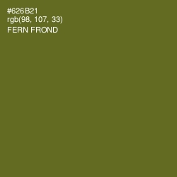 #626B21 - Fern Frond Color Image
